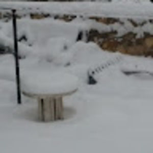 Meet your Posher, Ramon